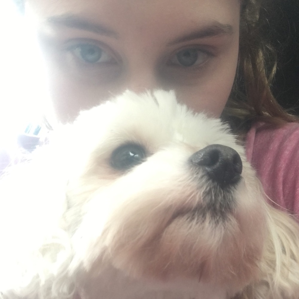 eBay.com/str/kjsdistribution (4 nonposh Items)